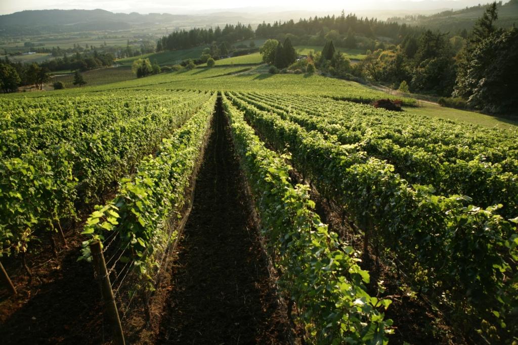 Commercial HVAC services in Melissa, TX